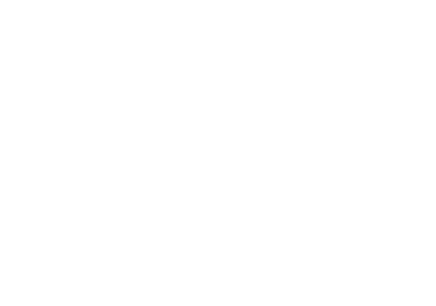 Völtz Performance